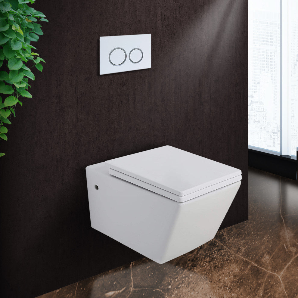 In-Wall Toilet Set, 2"x6" Carrier and Tank, White Round Actuators