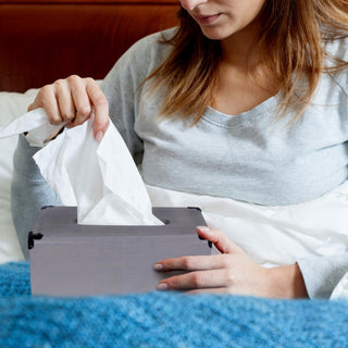 HomeRoots Rustic Gray Mango Wood Rectangular Tissue Holder