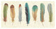 "Feather Tales VII" Digital Paper Print by Daphne Brissonnet, 74"x38"