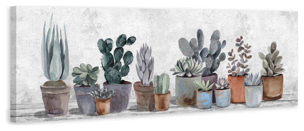 "Succulent Collection" Painting Print on Wrapped Canvas