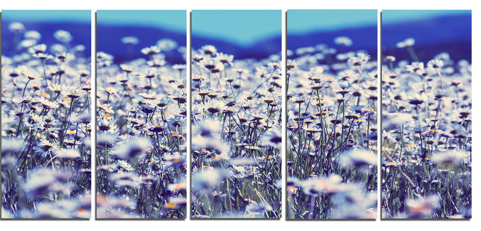 Amazing Light Blue Chamomile Blossom, Flower Canvas Print, 60"x28", 5 Panels