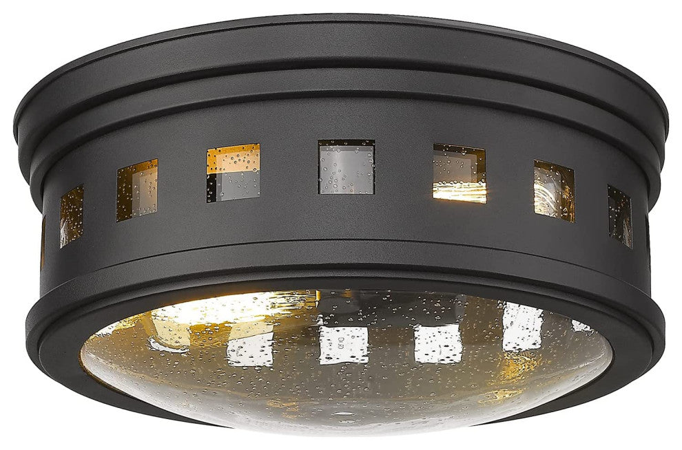 2 Light Flush Mount Ceiling Lamp, Industrial