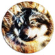 Wolf Multicolor Collage, Animal Disc Metal Wall Art, 11"