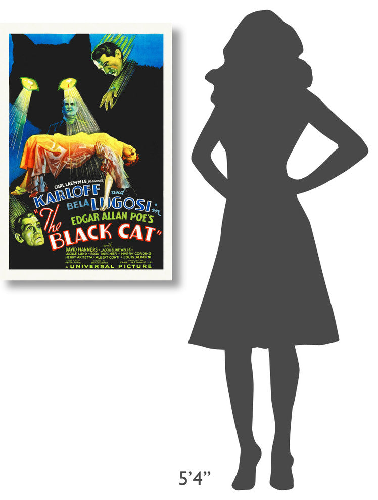 "The Black Cat" Stretched Canvas Giclee by Hollywood Photo Archive, 24x36"