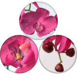 33.5" Real Touch Phalaenopsis Orchids - 2 Pack