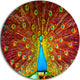 Peacock Dancing, Animal Photography Round Wall Art, 11"