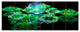 Green Water Drops on Mirror, Abstract Canvas Art Print, 70"x28", 6 Panels