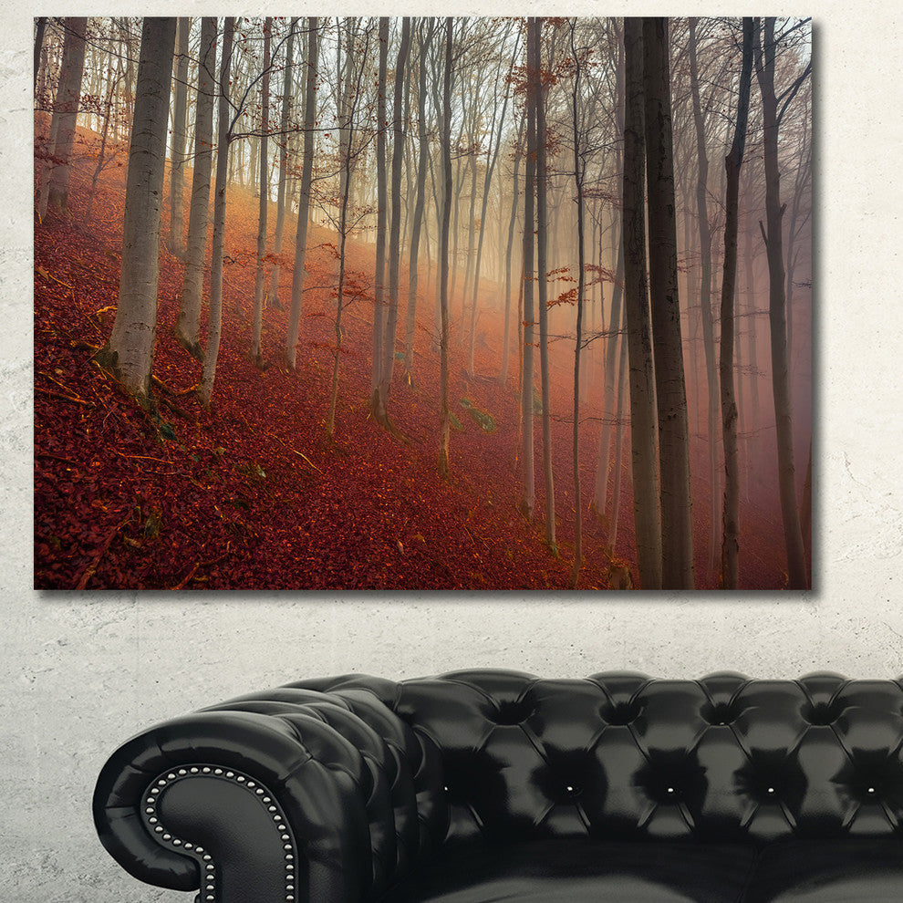 Foggy Day in Enchanted Forest, Landscape Canvas Art Print, 40"x30"
