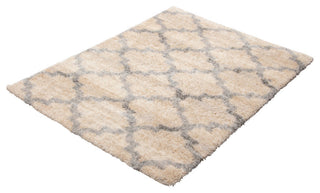 Moroccan Trellis Shag Rug, Tan, 5'3"x7'3"