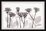 "Delicate Petals" Framed Painting Print