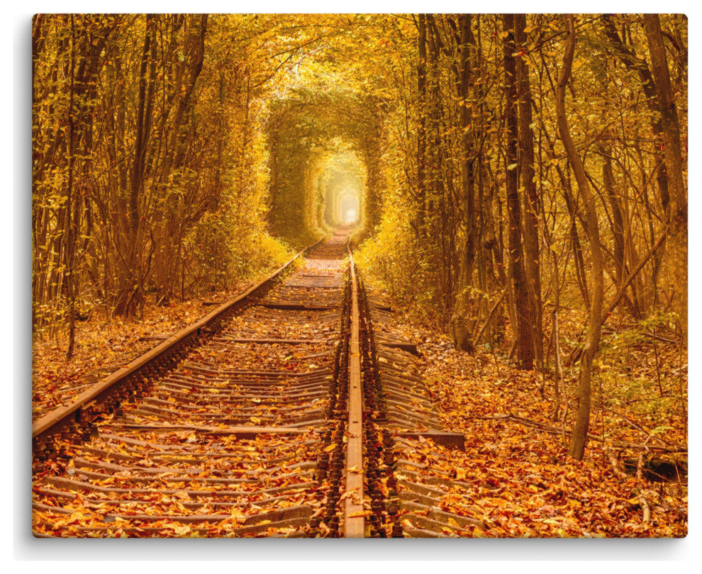 Ukraine Forest Railway Tunnel of Love Landscape Photo Canvas Wall Art Print, 16" X 20"