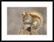 "Snow Storm" Framed Digital Print by Mircea Costina, 30x23"