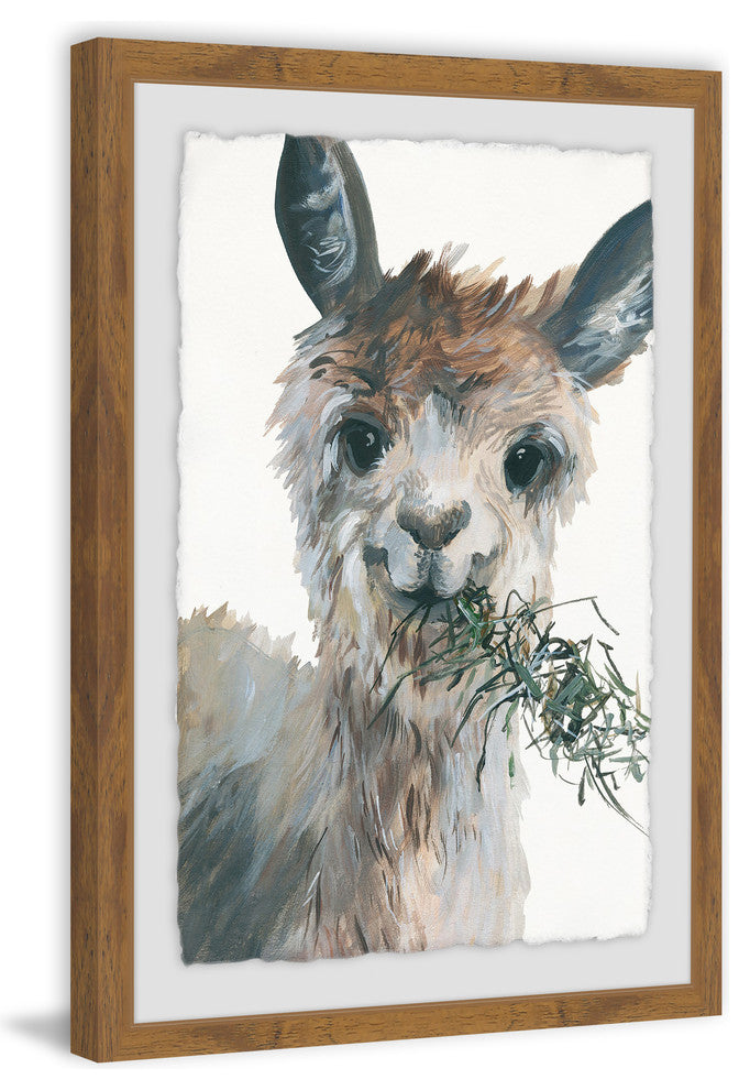 "Munching Llama" Framed Painting Print, 20"x30"