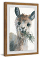 "Munching Llama" Framed Painting Print, 20"x30"