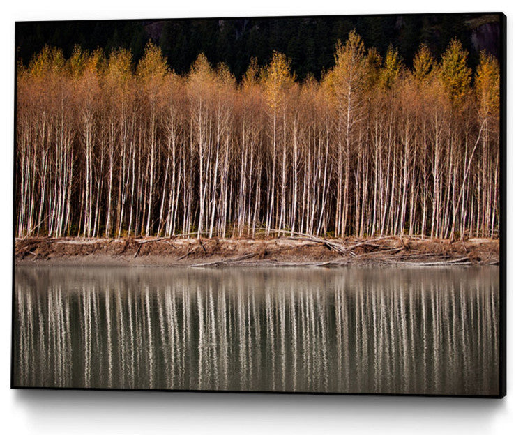 "Golden Visions" Art block Framed Canvas, 14"x11"