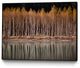 "Golden Visions" Art block Framed Canvas, 14"x11"