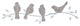 Birds Sitting on a Branch Wall D"cor