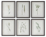 Uttermost 41459 Forest Finds 22" x 18" Framed Botanical Graphic - Multicolored