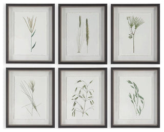 Uttermost 41459 Forest Finds 22" x 18" Framed Botanical Graphic - Multicolored