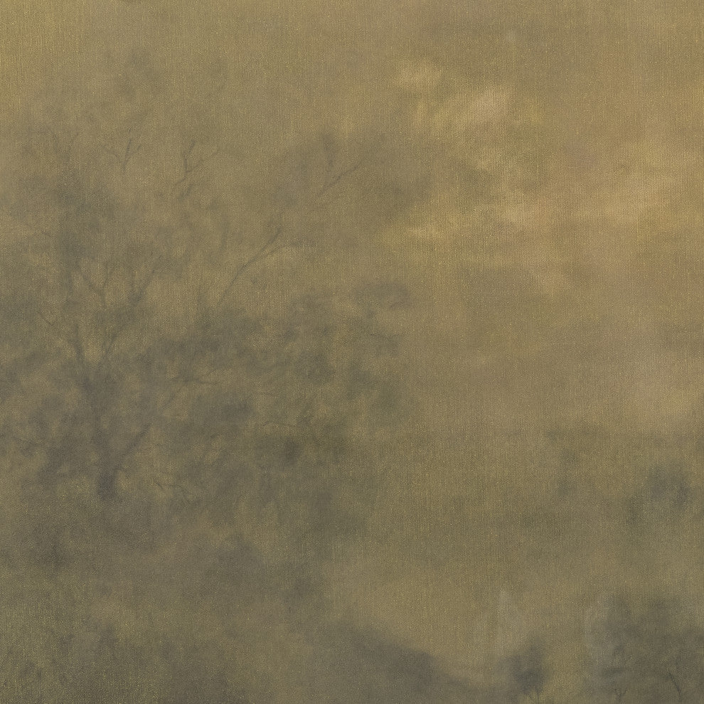 Expanse By Aileen Fitzgerald