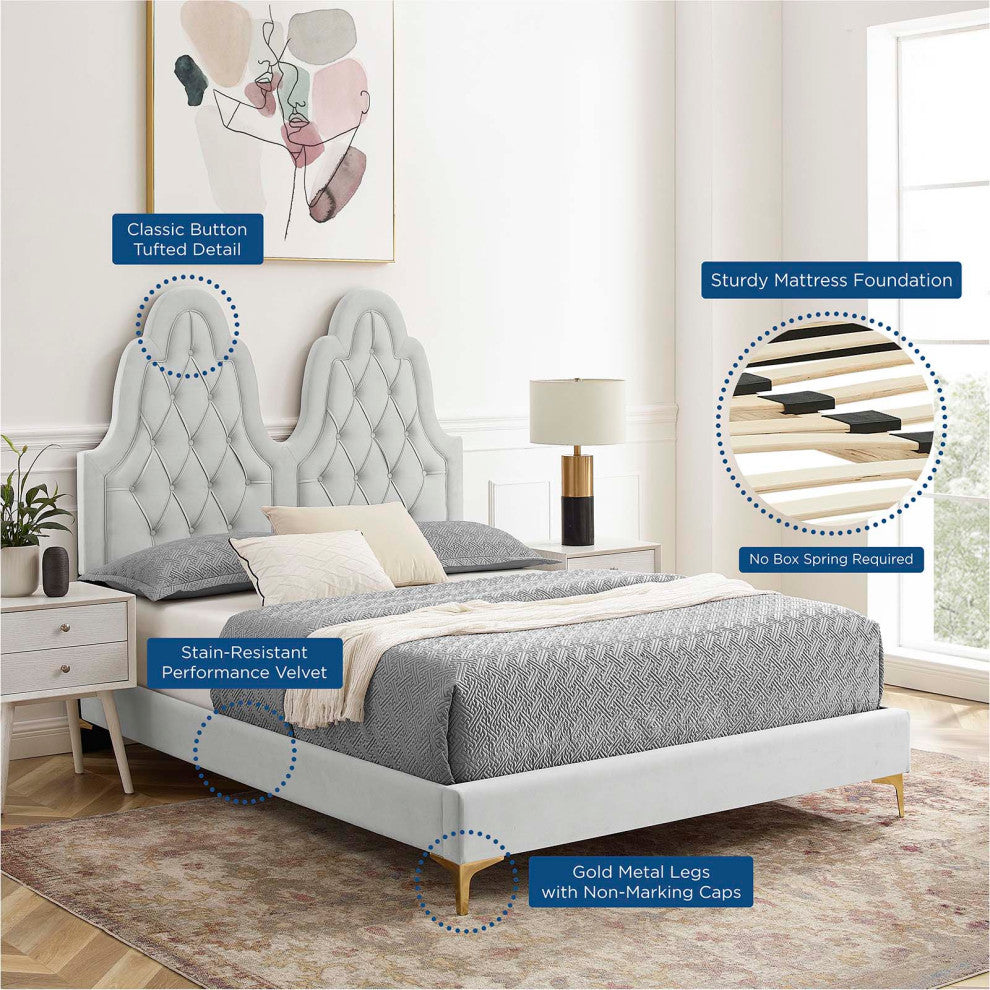Tufted Platform Bed Frame, Twin Size, Velvet, Gray, Modern Contemporary
