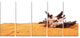 "Large Sea Shells on Sand" Canvas Print, 5 Panels