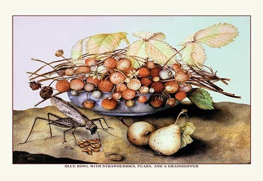 Bowl of Strawberries, Pears and a Grasshopper- Gallery Wrapped Canvas Art