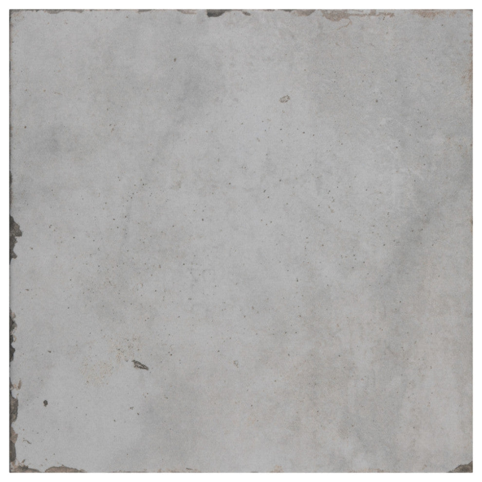 Renaissance Porcelain Floor and Wall Tile Sample