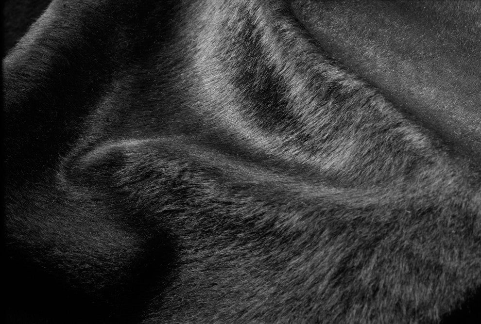 Natural Geneva Cowhide Rug, 6'x7', Black