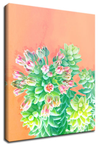 Ready2HangArt 'Fresh Growth' Wrapped Canvas Succulent Wall Art, 16"x12"