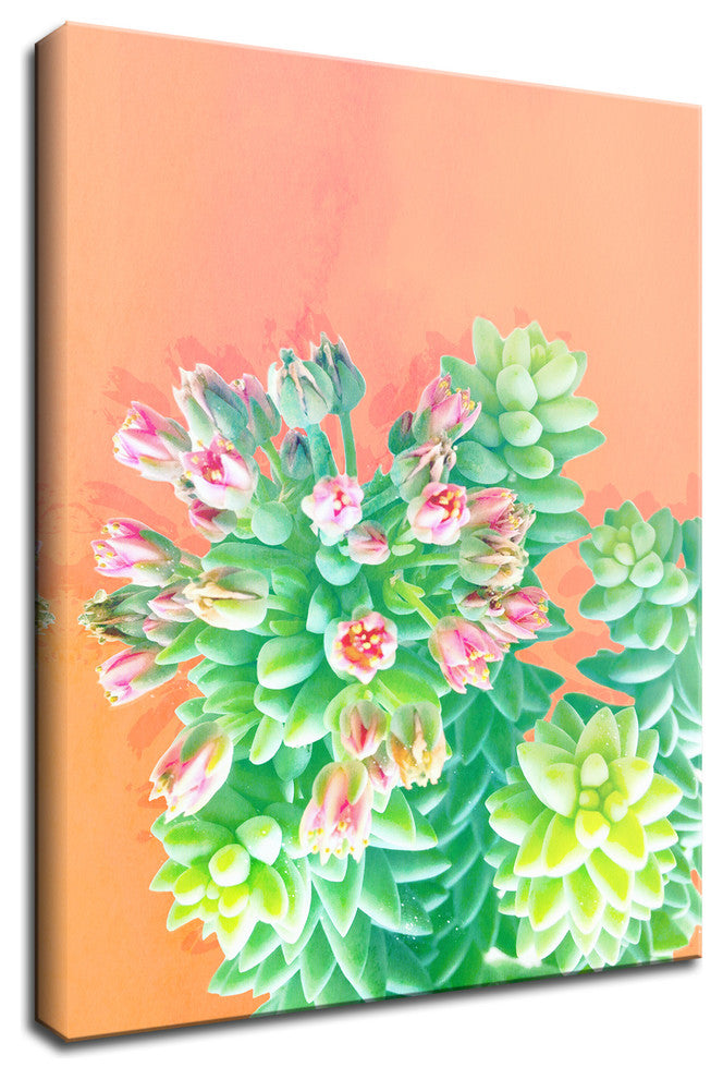 Ready2HangArt 'Fresh Growth' Wrapped Canvas Succulent Wall Art, 16"x12"