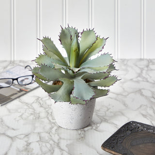 Product shown in a real environment (kitchen counter lifestyle image).