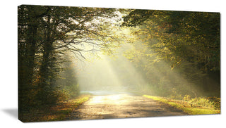 "Bright Sunbeams to Fall Forest" Canvas Print