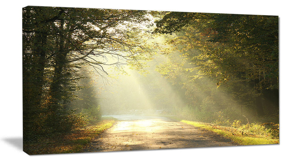 "Bright Sunbeams to Fall Forest" Canvas Print