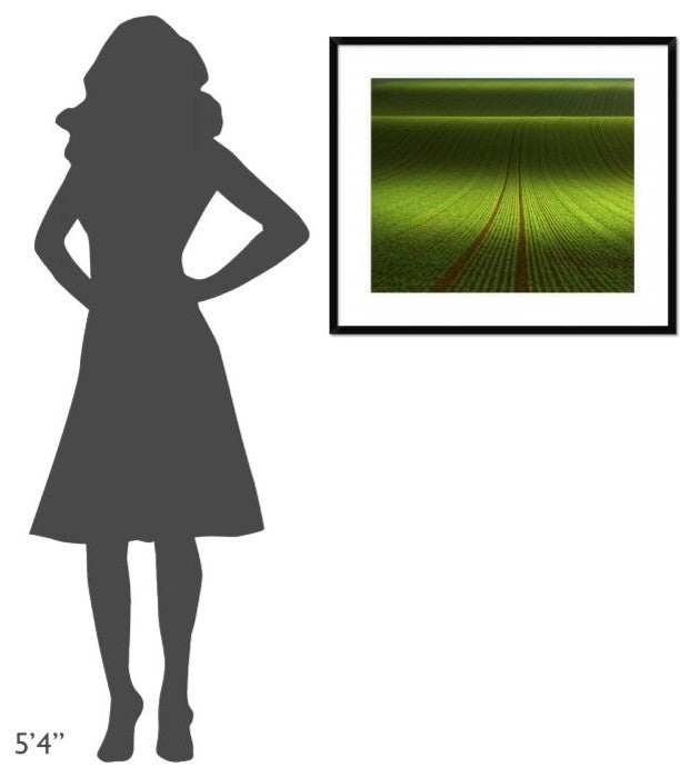 "November Green" Framed Digital Print by Franz Schumacher, 32x28"