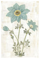 "Bloemen Boek VII" Digital Paper Print by Sue Schlabach, 42"x62"