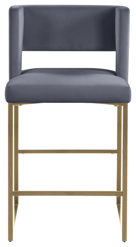 Caleb Upholstered Counter Stool, Set of 2, Gray, Velvet, Brushed Gold