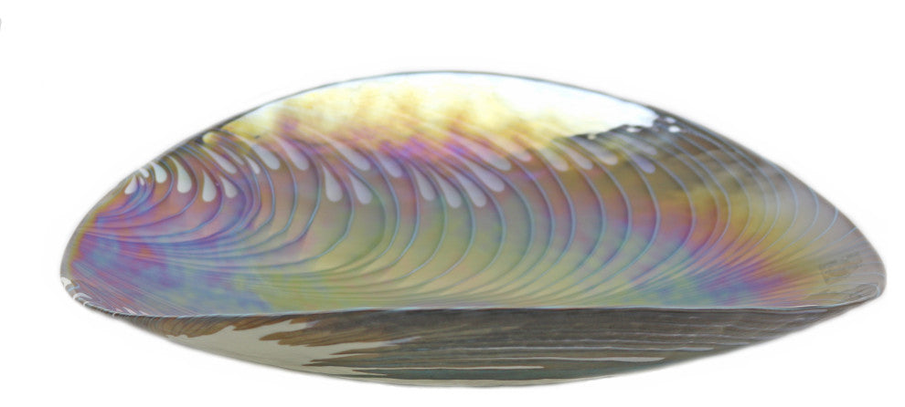 Murano Glass Filigrana Turquoise Centerpiece Plate Ivory Turquoise