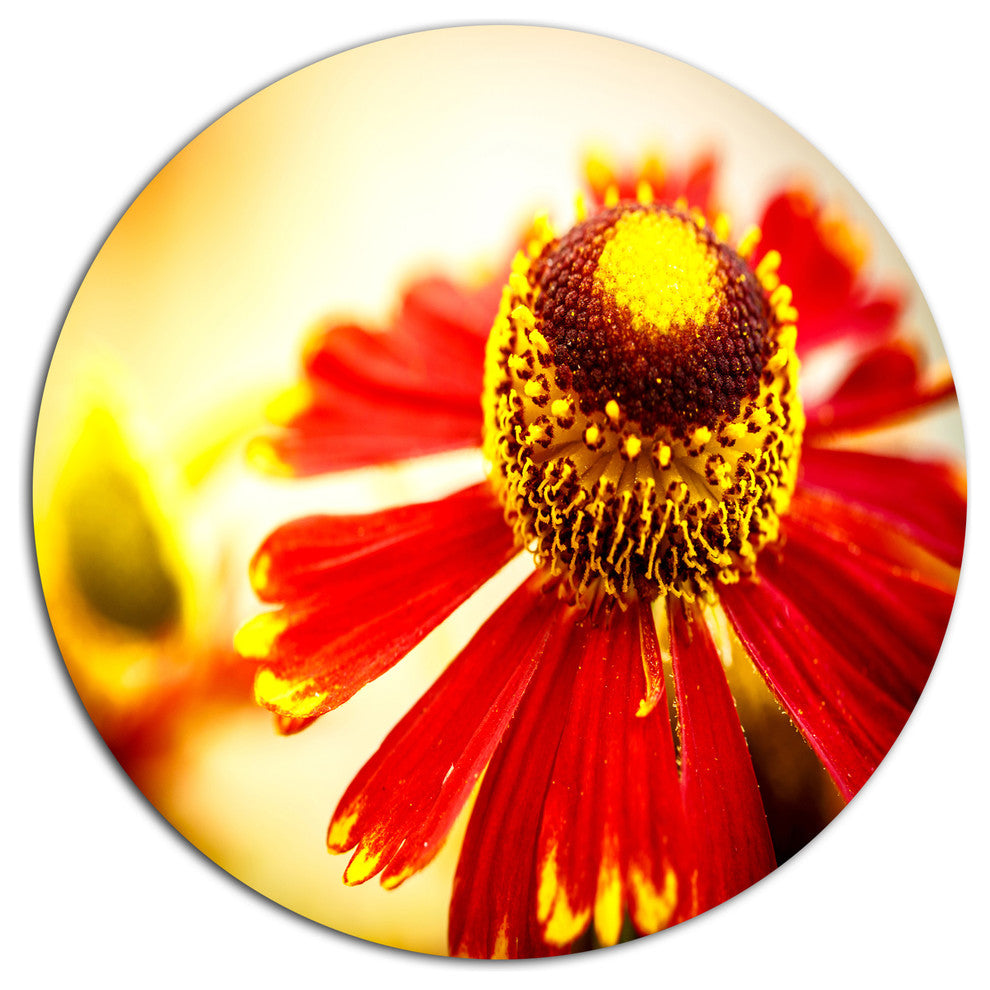 Beautiful Flower On Yellow Background, Flower Round Metal Wall Art, 11"