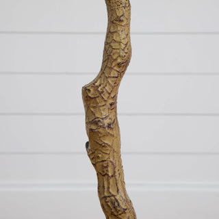 Close-up of trunk with white background