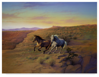 Kirk Reinert 'Western Skies' Canvas Art, 47"x35"