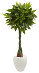5" Money Artificial Tree, White Oval Planter, Real Touch
