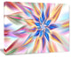 Exotic Dance of Multi Color Petals, Large Floral Canvas Art Print, 60x40