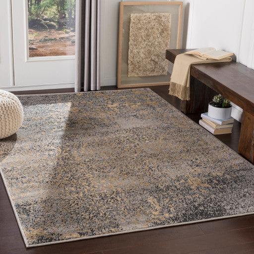 Surya Paramount PAR-1074 5'3"x7'9" Rug, Medium Gray/Khaki/Beige