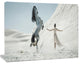 Huge Horse and Lady on Desert, Animal Canvas Wall Art, 20"x12"