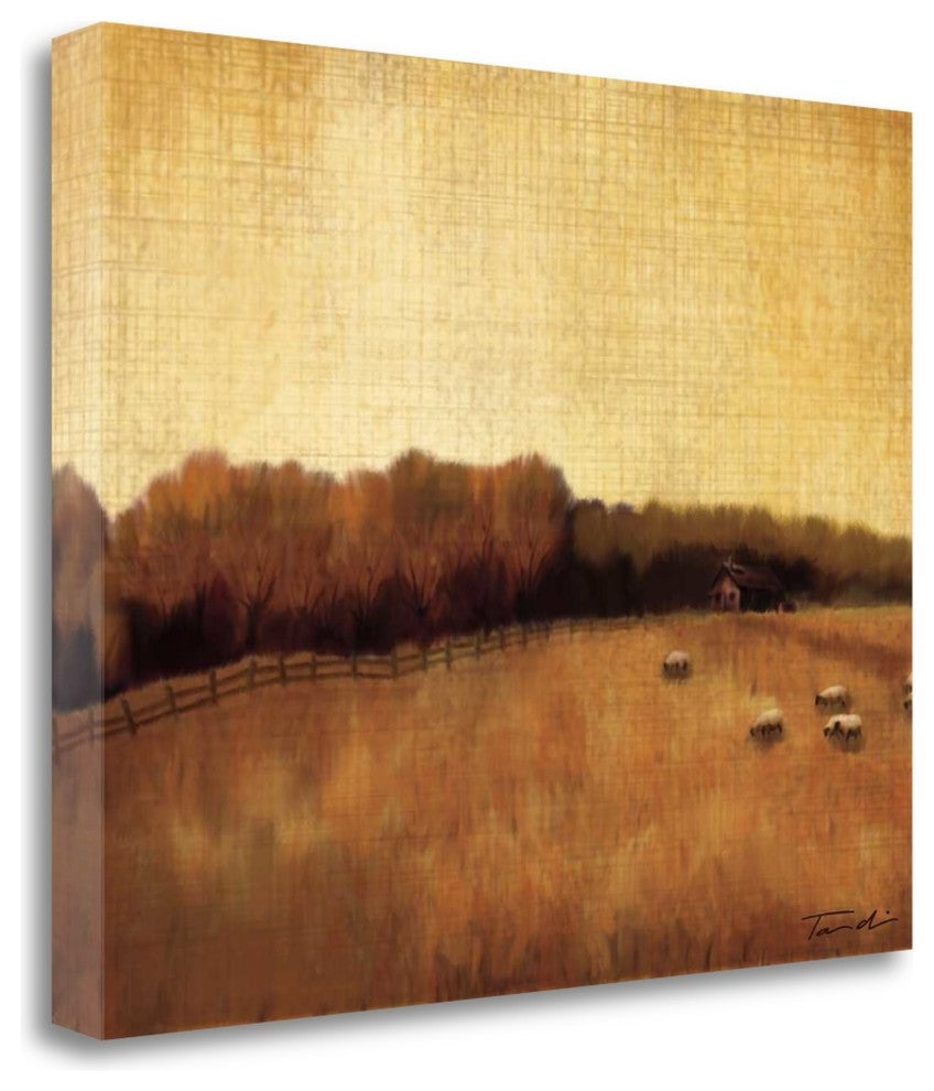 "Open Range II" By Tandi Venter, Giclee Print on Gallery Wrap Canvas