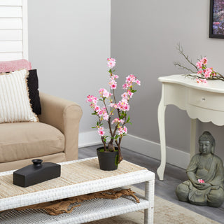 Lifestyle: plant displayed in a living space with table and decor.