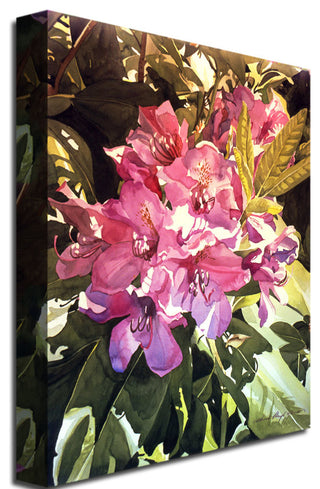 'Royal Rhododendrons' Canvas Art by David Lloyd Glover