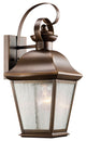 Outdoor Wall 1-Light, Olde Bronze, Incandescent