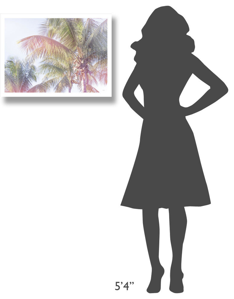 "Dream Palm I" Digital Paper Print by Sue Schlabach, 26"x20"
